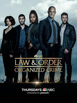 法律与秩序：组织犯罪第3季