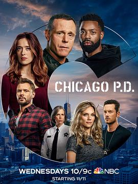 芝加哥警署第8季