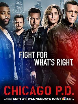 芝加哥警署 第4季