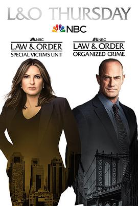 法律与秩序：组织犯罪第2季
