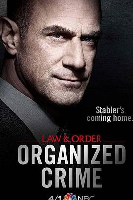 法律与秩序：组织犯罪第1季
